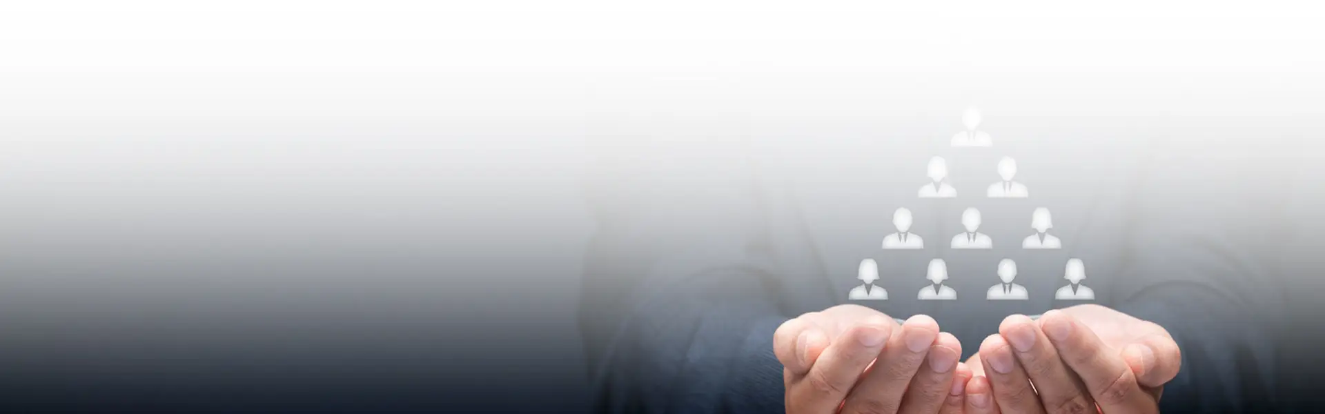 Scitrix Empowering Services